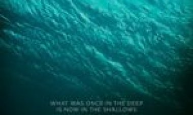 מים לא שקטים תרגום מובנה / The Shallows לצפייה ישירה