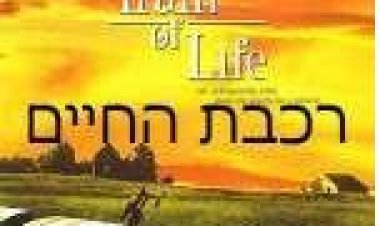 רכבת החיים תרגום מובנה לצפייה ישירה