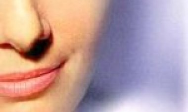 שנינות (2001) תרגום מובנה לצפייה ישירה