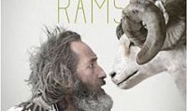 איילים תרגום מובנה *תוקן* Rams לצפייה ישירה