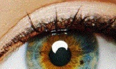 המקור תרגום מובנה / I Origins 2014 לצפייה ישירה