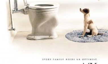 כלבי סקיפ תרגום מובנה לצפייה ישירה