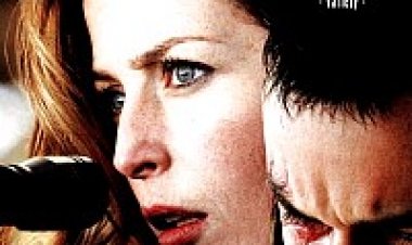 נקמה מושלמת תרגום מובנה – Straightheads