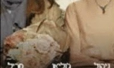 השעות תרגום מובנה לצפייה ישירה