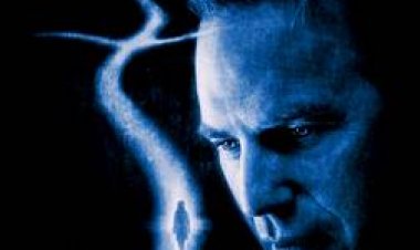 דרגונפליי תרגום מובנה – Dragonfly