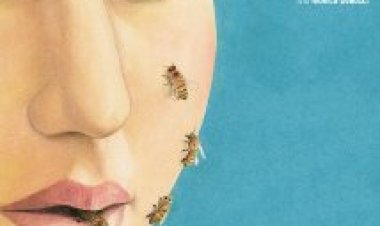 המופלאים תרגום מובנה – The Wonders Le meraviglie