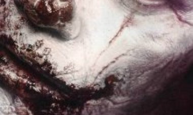 ליצן תרגום מובנה – Clown