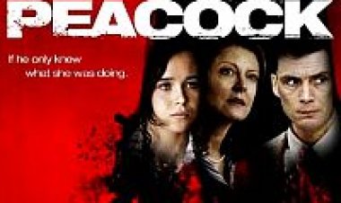 פיקוק תרגום מובנה Peacock לצפייה ישירה