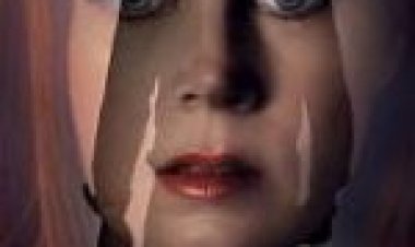 יצורים ליליים תרגום מובנה לצפייה ישירה / Nocturnal Animals לצפייה ישירה