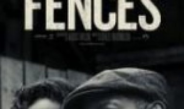 גדרות תרגום מובנה לצפייה ישירה / Fences לצפייה ישירה