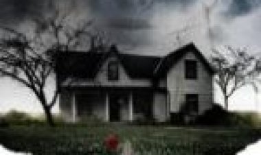 לבנדר מתורגם לצפייה ישירה / Lavender לצפייה ישירה