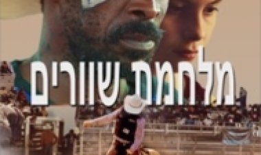 מלחמת שוורים לצפייה ישירה עם תרגום מובנה | Bull