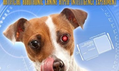 א.ר.צ.י תרגום מובנה A R C H I E לצפייה ישירה