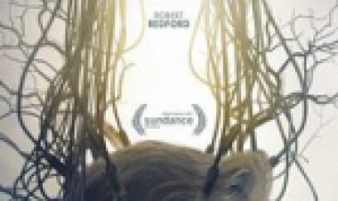 התגלית לצפייה ישירה עם תרגום מובנה | The Discovery