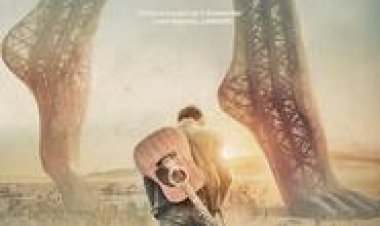 הנערה מהשיר לצפייה ישירה עם תרגום מובנה | The Girl from the Song