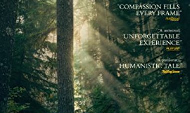 אין להשאיר עקבות לצפייה ישירה עם תרגום מובנה | Leave No Trace