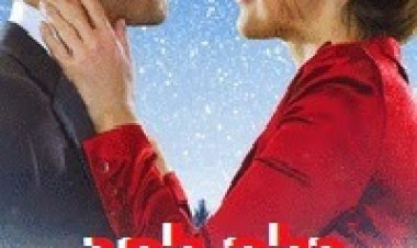 כלה לחג תרגום מובנה / A Bride for Christmas 2013 לצפייה ישירה