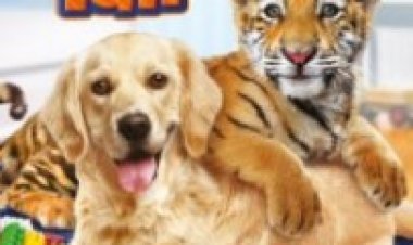 טיגריס משפחתי תרגום מובנה / A Tiger's Tail 2014 לצפייה ישירה