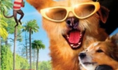 דוקטור דוליטל: לאקי שווה מיליונים תרגום מובנה לצפייה ישירה