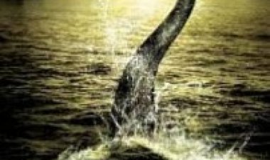 המארח (2006) תרגום מובנה לצפייה ישירה