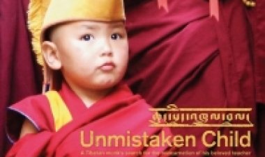 הילד המיועד תרגום מובנה לצפייה ישירה