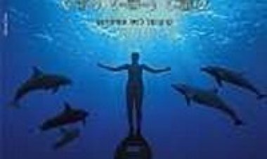 הלגונה הסודית תרגום מובנה לצפייה ישירה