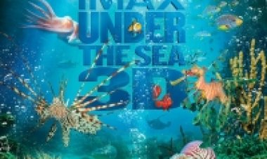 במצולות הים תרגום מובנה לצפייה ישירה