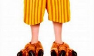 אייס ונטורה – ג'וניור תרגום מובנה