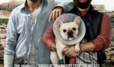 אל תלחצי אני בדרך תרגום מובנה לצפייה ישירה