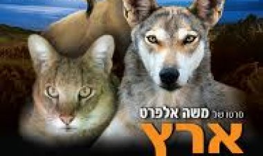 ארץ בראשית לצפייה ישירה לצפייה ישירה