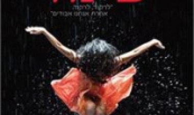 פינה תרגום מובנה לצפייה ישירה