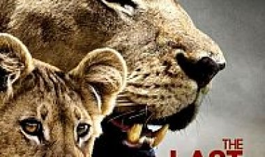 האריות האחרונים תרגום מובנה לצפייה ישירה