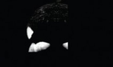 דג שחור (2013) תרגום מובנה לצפייה ישירה