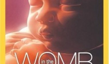 נשיונל גאוגרפיק בתוך הרחם תרגום מובנה לצפייה ישירה