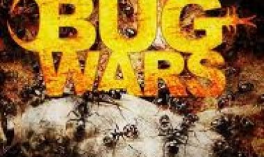 מלחמות החרקים המפלצתיים פרק 1 פרק 2 *תרגום מובנה* לצפייה ישירה