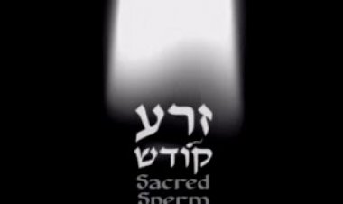 זרע קודש מסע אישי של הבמאי החרדי אור ישר הסרט
