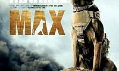 מקס תרגום מובנה – Max