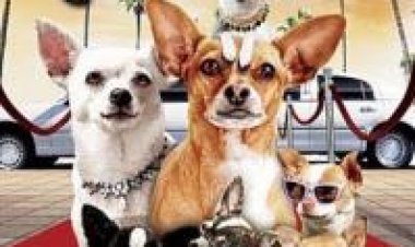 הציוואווה מבוורלי הילס 2 תרגום מובנה לצפייה ישירה