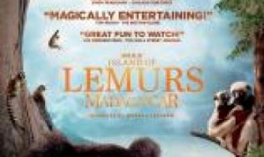 אי הלמורים מדגסקר תרגום מובנה / Island of Lemurs Madagascar 2014 לצפייה ישירה