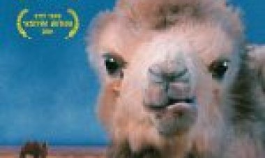 דמעות של גמל תרגום מובנה The Story of the Weeping Camel לצפייה ישירה