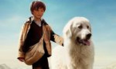 בל וסבסטיאן תרגום מובנה / Belle Sebastian