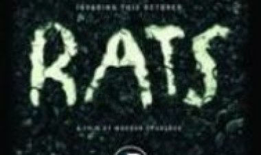 חולדות לצפייה ישירה עם תרגום מובנה | Rats