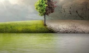 לפני המבול לצפייה ישירה עם תרגום מובנה | Before The Flood