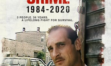 חיי פשע לצפייה ישירה עם תרגום מובנה | Life of Crime