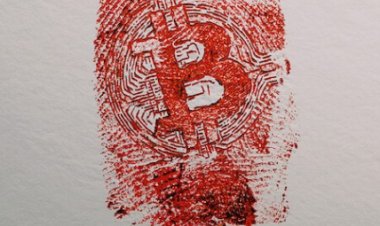 לא להאמין לאף אחד החיפוש אחר מלך הקריפטו לצפייה ישירה עם תרגום מובנה | Trust No One The Hunt for the Crypto King