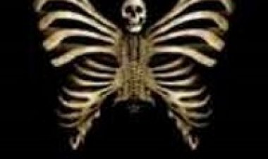 בכל האמצעים תרגום מובנה לצפייה ישירה