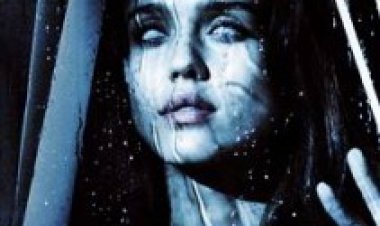 העין תרגום מובנה לצפייה ישירה