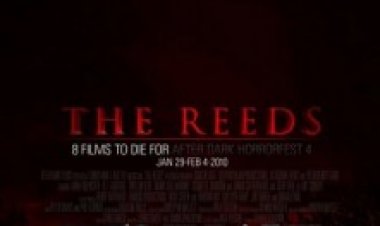 הקנים תרגום מובנה לצפייה ישירה