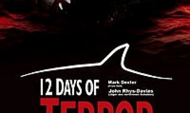 12 יום של טרור (2004) תרגום מובנה לצפייה ישירה