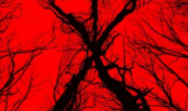 המכשפה מבלייר (2016) *ללא תרגום*לצפייה ישירה / Blair Witch לצפייה ישירה